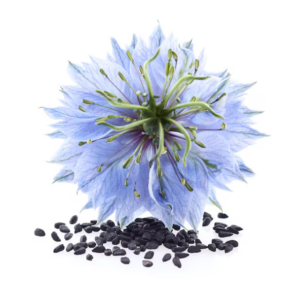 Huile de Nigelle